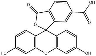 6-羧基荧光素