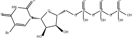 5-bromouridine triphosphate