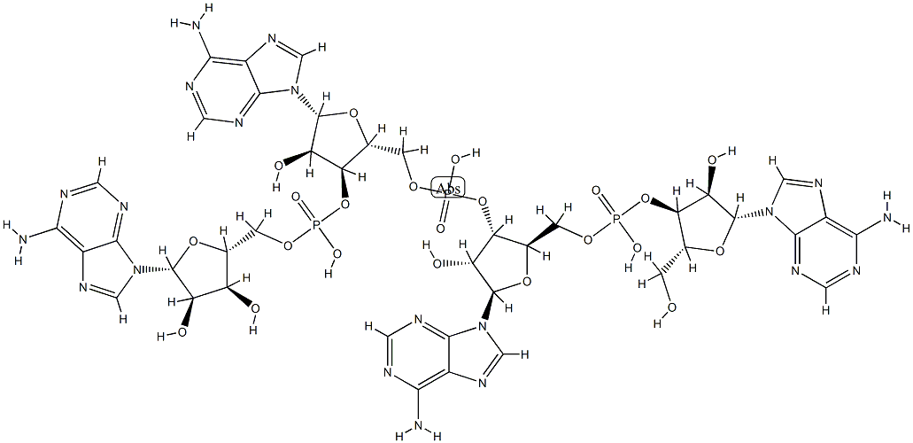 adenylyl-(3'-5')-adenylyl-(3'-5')-adenylyl-(3'-5')-adenosine