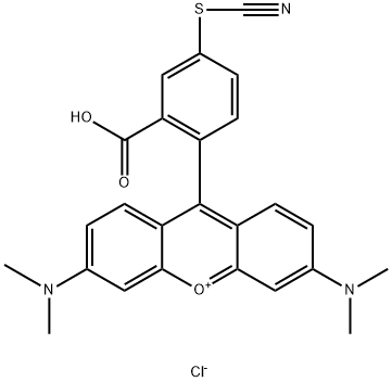 tetramethylrhodamine isothiocyanate