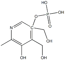 5-磷酸吡哆醇
