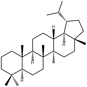 LUPANE