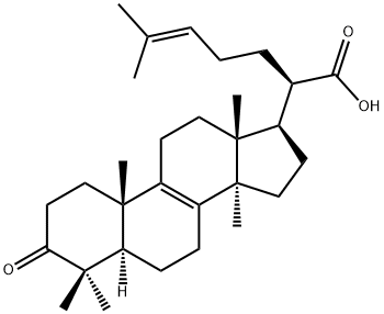 3-Oxo-5α-lanosta-8,24-diene-21-oic acid
