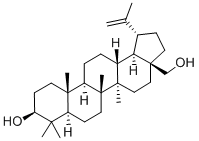 白桦脂醇