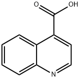 喹啉-4-羧酸
