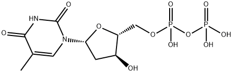 2'-脱氧胸苷-5'-二磷酸(DTDP)