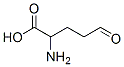 2-amino-5-oxo-pentanoic acid