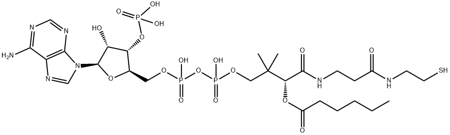[(2R,3R,4R,5R)-5-(6-aminopurin-9-yl)-2-[[[[3-[2-(2-hexanoylsulfanylethylcarbamoyl)ethylcarbamoyl]-3-hydroxy-2,2-dimethyl-propoxy]-hydroxy-phosphoryl]oxy-hydroxy-phosphoryl]oxymethyl]-4-hydroxy-oxolan-3-yl]oxyphosphonic acid