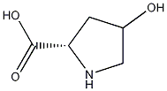 L-羟基脯氨酸