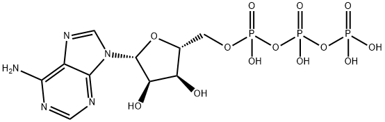 5'-三磷酸腺苷