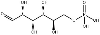 D-葡萄糖-6-磷酸