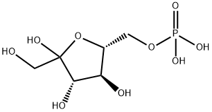 D-Fructofuranose 6-phosphate