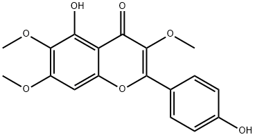 PENDULETIN