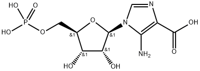 carboxyaminoimidazole ribotide