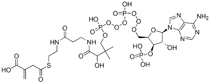 2-[2-[3-[[4-[[[(2R,3R,4R,5R)-5-(6-aminopurin-9-yl)-4-hydroxy-3-phosphonooxy-oxolan-2-yl]methoxy-hydroxy-phosphoryl]oxy-hydroxy-phosphoryl]oxy-2-hydroxy-3,3-dimethyl-butanoyl]amino]propanoylamino]ethylsulfanylcarbonylmethyl]prop-2-enoic acid