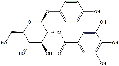 4-Hydroxyphenyl 2-O-(3,4,5-trihydroxybenzoyl)-β-D-glucopyranoside