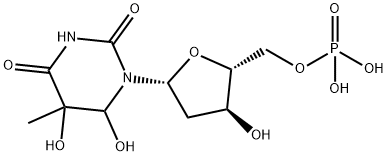 thymidine glycol monophosphate