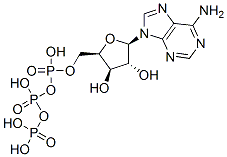 9-beta-xylofuranosyladenine 5'-triphosphate