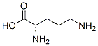 Ornithine