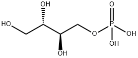 erythritol 4-phosphate