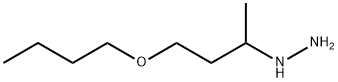 Hydrazine,  (3-butoxy-1-methylpropyl)-