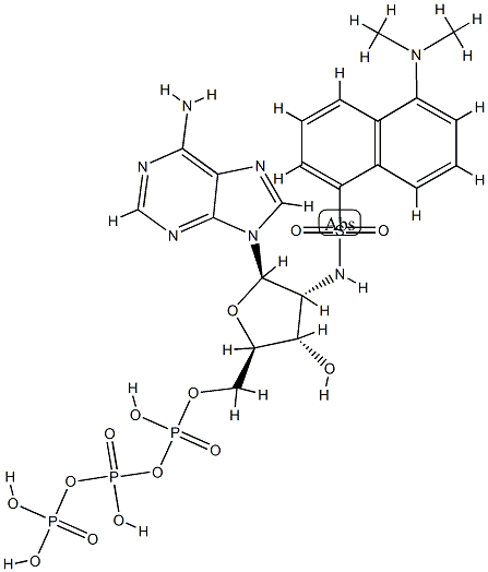 dansylamino deoxy-ATP