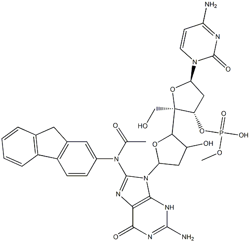 2'-deoxycytidylyl-(3--5)-2'-deoxy-8-(N-fluoren-2-ylacetamido)guanosine
