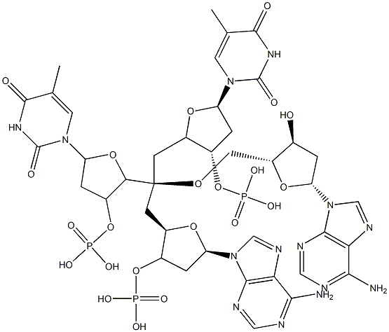 deoxy-(thymidylyl-adenylyl-adenylyl-thymidylic acid)