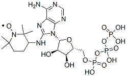 8-(2,2,6,6-tetramethylpiperidin-4-yl-1-oxyl)amino-adenosine triphosphate
