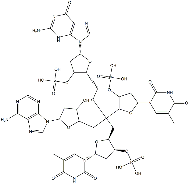 2'-deoxyadenylyl(3'-5')thymidylyl(3'-5')deoxyguanosylyl(3'-5')thymidine