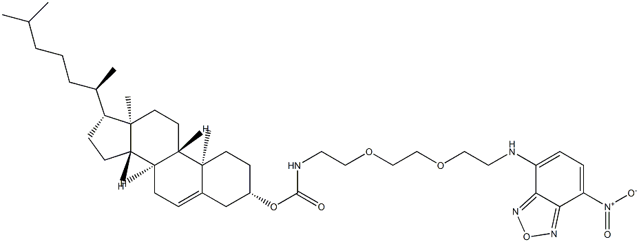 N(1)-cholesterylcarbamoyl-N(8)-(4-nitrobenzo-2-oxa-1,3-diazole)-3,6-dioxaoctyl-1,8-diamine