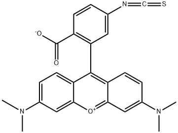 四甲基罗丹明-5(6)异硫氰酸酯