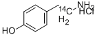 HYDROXYPHENYLETHYLAMINE HYDROCHLORIDE, [1-14C]