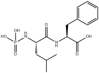 phosphorylleucylphenylalanine