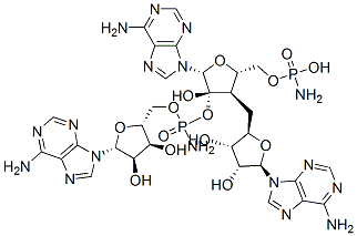 adenylyl (2'-5')-adenylyl-(2'-5')adenosine bis-phosphoramidate