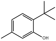 6-叔丁基间甲酚