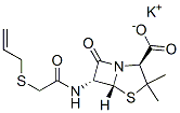 penicillin O potassium
