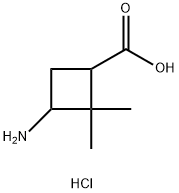 3-Amino-2,2-dimethylcyclobutane-carboxylic acid hydrochloride