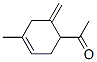 Ethanone, 1-(4-methyl-6-methylene-3-cyclohexen-1-yl)- (9CI)