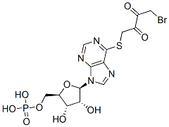 1-Bromo-4-((9-(5-O-phosphono-beta-D-ribofuranosyl)-9H-purin-6-yl)thio) -2,3-butanedione