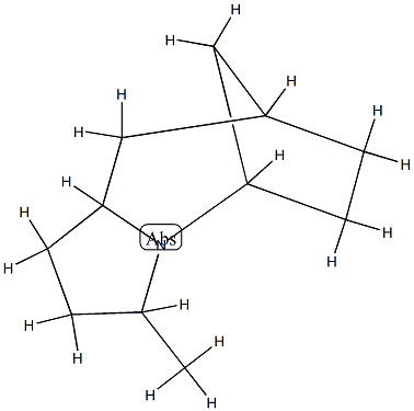 5,8-Methano-1H-pyrrolo[1,2-a]azepine,octahydro-3-methyl-(9CI)