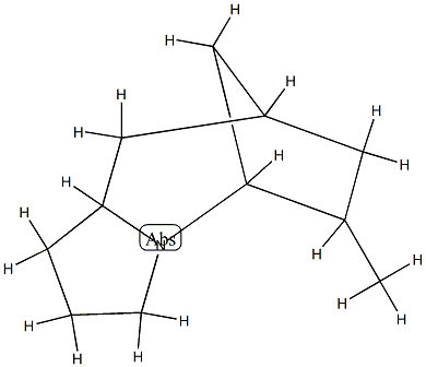 5,8-Methano-1H-pyrrolo[1,2-a]azepine,octahydro-6-methyl-(9CI)