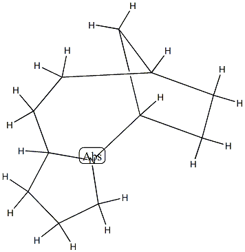 5,8-Methanopyrrolo[1,2-a]azocine,decahydro-(9CI)