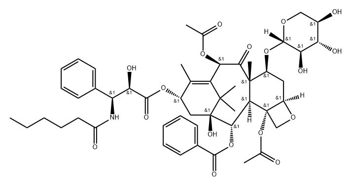 7-木糖基紫杉醇 C