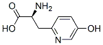 beta-(5-hydroxy-2-pyridyl)alanine