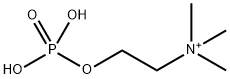 PHOSPHORYLCHOLINE