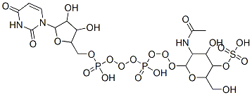 1-[5-[[[[3-acetamido-4-hydroxy-6-(hydroxymethyl)-5-sulfooxy-oxan-2-yl]oxy-hydroxy-phosphoryl]oxy-hydroxy-phosphoryl]oxymethyl]-3,4-dihydroxy-oxolan-2-yl]-2,4-dioxo-pyrimidine