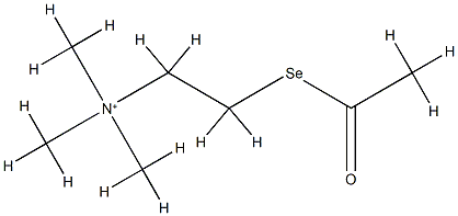 2-acetylselanylethyl-trimethyl-azanium