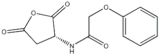 (R)-N-(2,5-二氧代四氢呋喃-3-基)-2-苯氧基乙酰胺