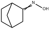 NORCAMPHOR OXIME